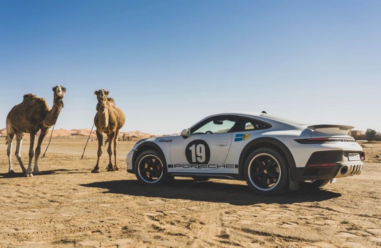 Porsche 911 Dakar in the desert